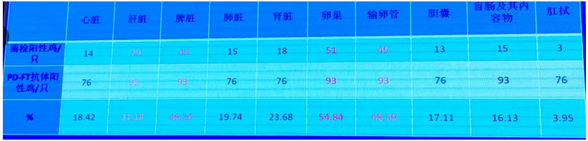 fe37e10700ab5ce69485f1ffffdcd4d6.png